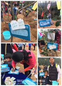 碧桂園植樹節 佩悅傳媒以專業公關策劃，賦能綠色品牌行動